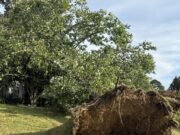 Unexpected storm in Memphis still leaves some residents without power amid soaring temperatures