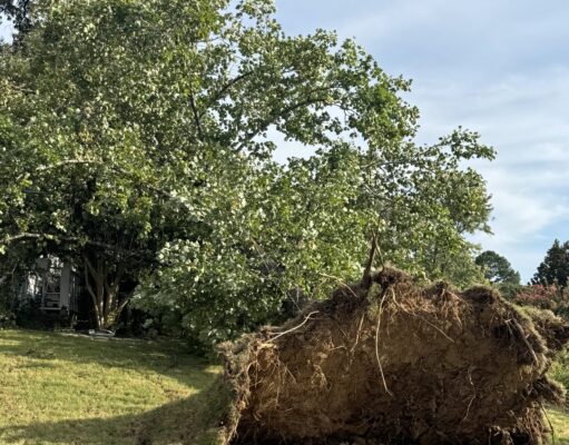 Unexpected storm in Memphis still leaves some residents without power amid soaring temperatures