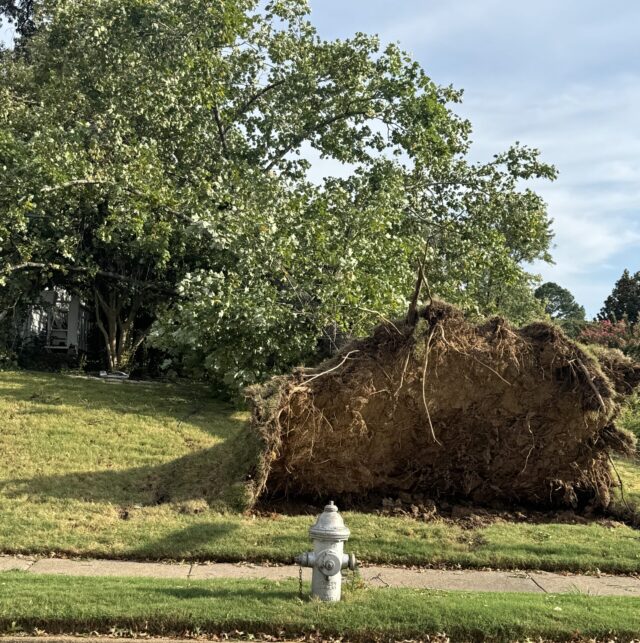 Unexpected storm in Memphis still leaves some residents without power amid soaring temperatures
