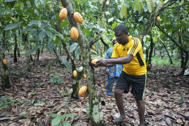 West African countries sign agreement to put added value on $150 billion cocoa industry