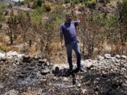 Israel’s genocidal war leaves just 3% of Gaza’s farmland usable: FAO