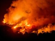 ‘It’s apocalyptic’: Western states burn amid dry conditions