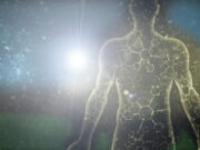 The Human Body the ‘perfect representation of economy’