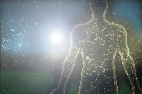 Human body Adobe stock rend