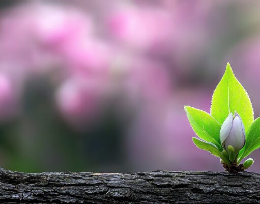 A New Beginning