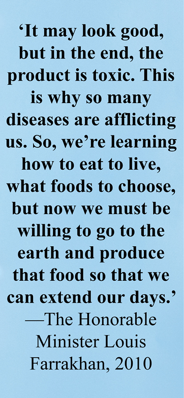 A quote about the toxicity of certain foods and the importance of choosing and producing healthy food to extend life is displayed on a blue background with various colorful candies, a donut, and a measuring tape arranged along the left side.

Description generated by AI