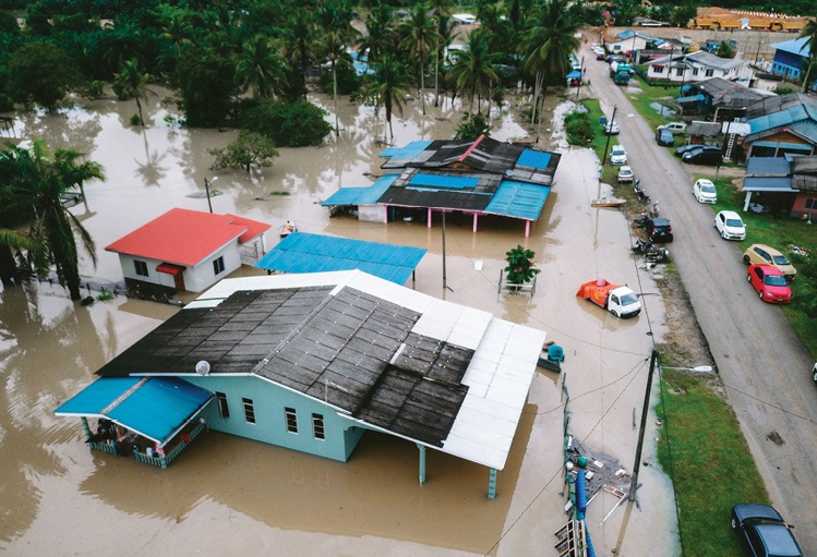 Several houses and vehicles are partially submerged in floodwater near a road lined with palm trees and other greenery. Description generated by AI